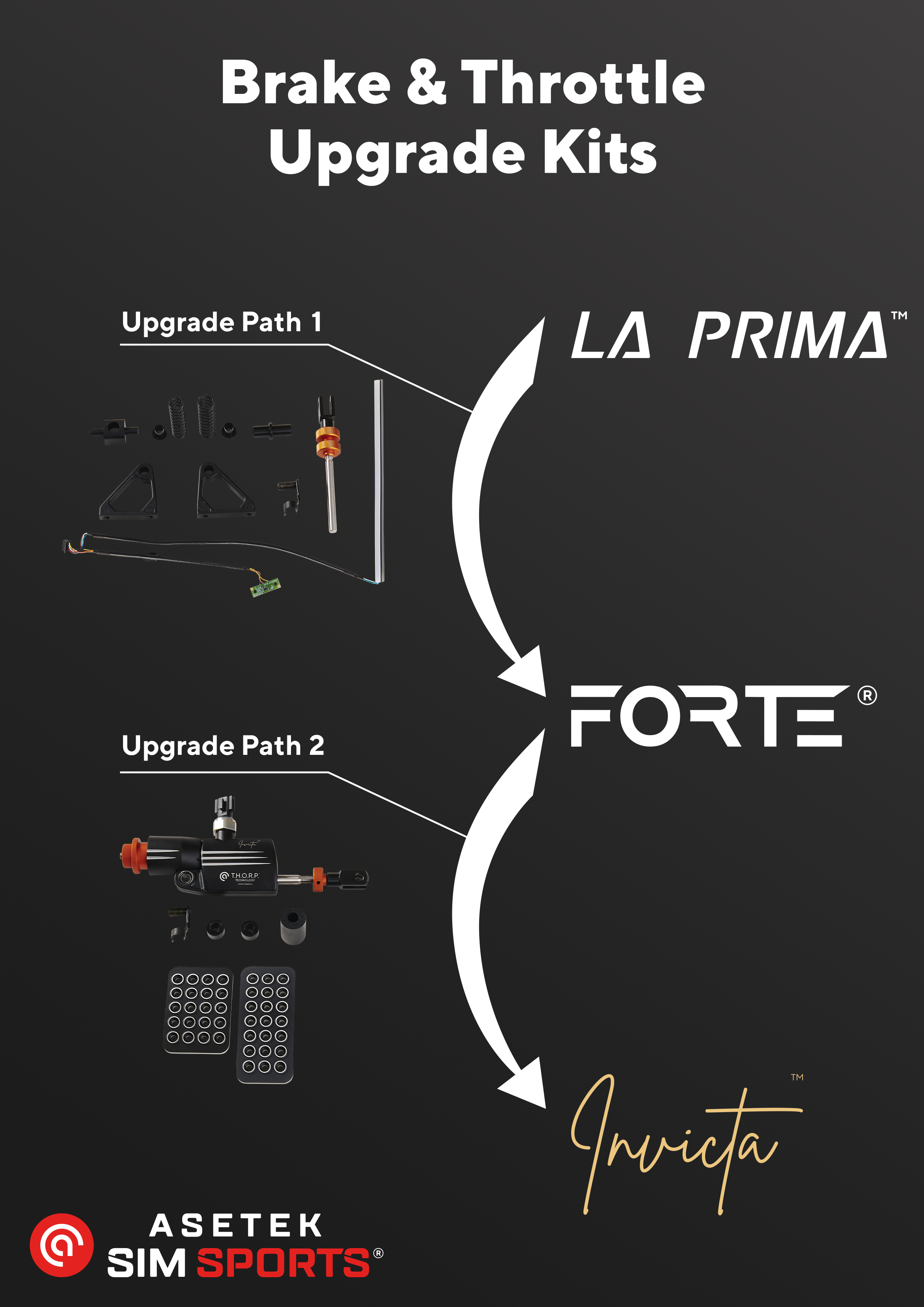 Asetek SimSports - Forte® to Invicta™ Upgrade Kit-Open Box