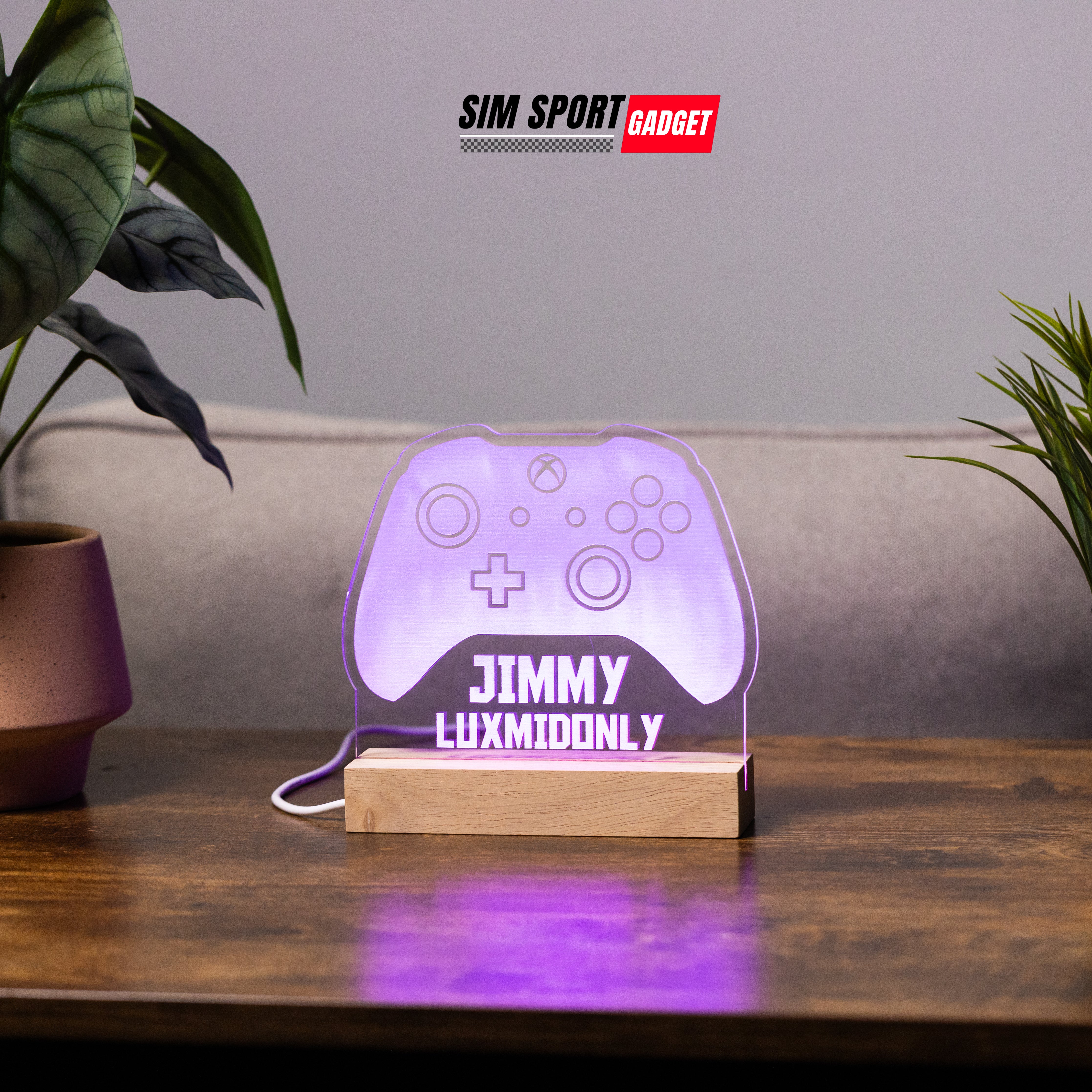 Customizable RGB Controller Decor | Living Room | Game Room | Office