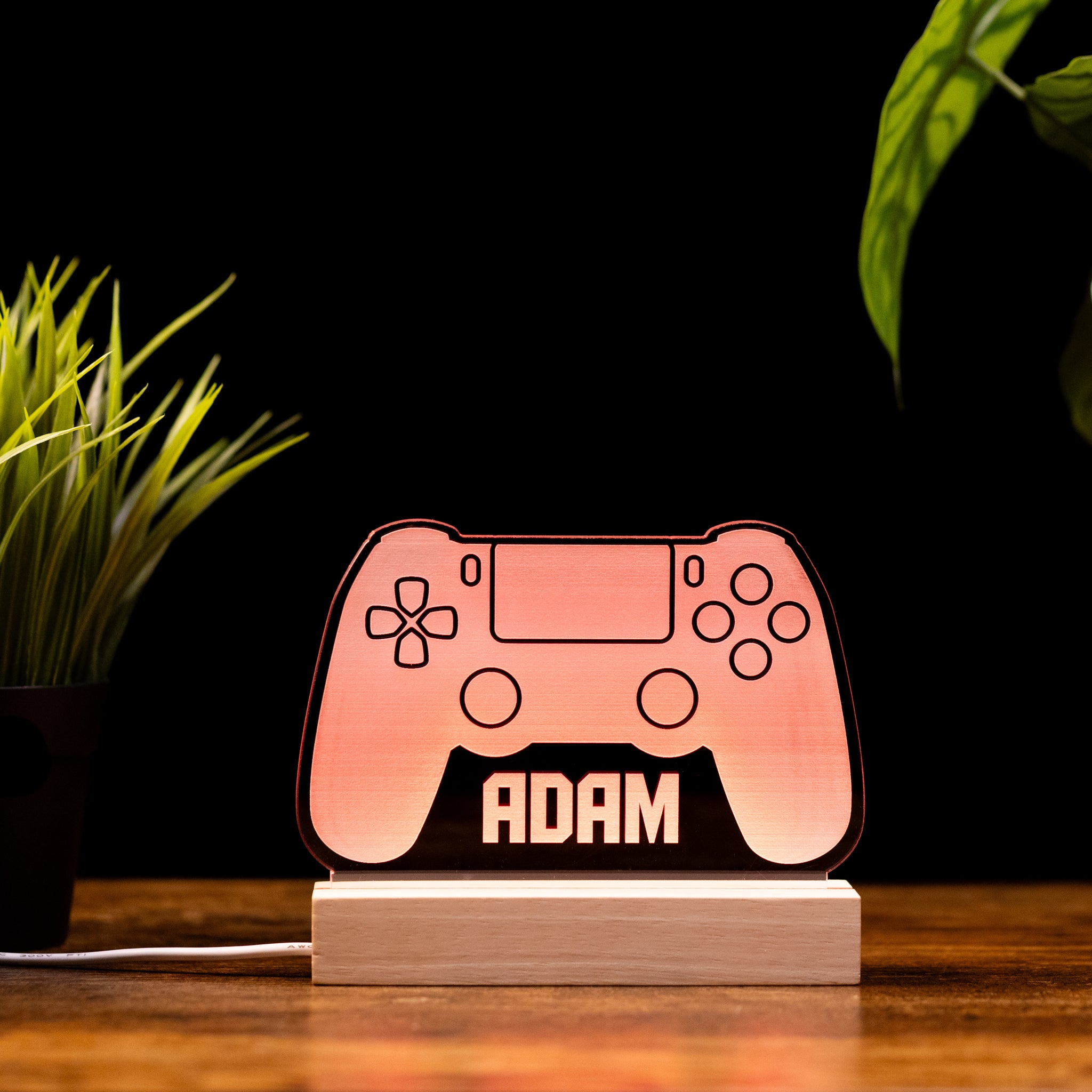 Customizable RGB Controller Decor | Living Room | Game Room | Office